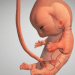9-months-mod-apk-v1-40-0-dinheiro-infinito