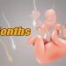 Download 9 Months v1.36.2 MOD APK [Diamantes Infinitos]