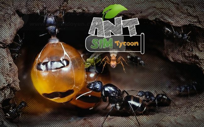 Download Ant Sim Tycoon v3.0 MOD APK – DINHEIRO INFINITO