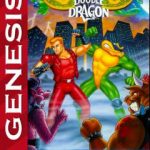 battletoads-double-dragon-11