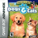 best-friends-dogs-cats
