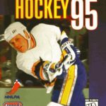 brett-hull-hockey-95-jue