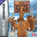 brother-bear