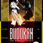 budokan-the-martial-spirit