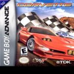corvette