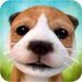Download Dog Simulator (MOD, unlimited money) 2.2.3