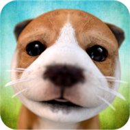 Download Dog Simulator (MOD, unlimited money) 2.2.3