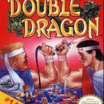 Download Double Dragon (NES)