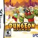 Download Dungeon Raiders