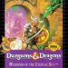 Download Dungeons & Dragons: Warriors of the Eternal Sun