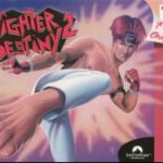 Download Fighter Destiny 2
