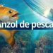 Download Fishing Hook v2.6.8 MOD APK [Dinheiro Infinito]