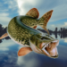 fishing-in-yerky-mod-apk-v4-5-2-dinheiro-infinito