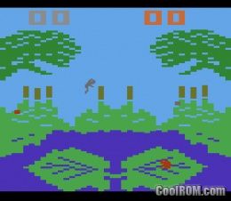 Download Frogs and Flies