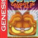garfield-caught-in-the-act-c