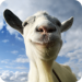 goat-simulator-mod-apk-v3-1-1-4-4-versao-completa