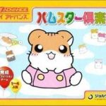 hamster-gurakubu-3-polla