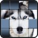Download Hidden Pics 1.00