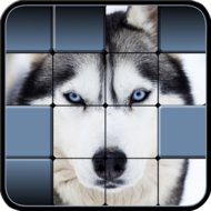 Download Hidden Pics 1.00