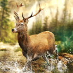 Download Hunting Clash MOD APK v5.14.1 (A mira não gira)