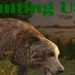 Download Hunting USA v1.5 MOD APK [Money]
