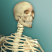 Download Idle Human 2 MOD APK v2.0.0 (Dinheiro Infinito)