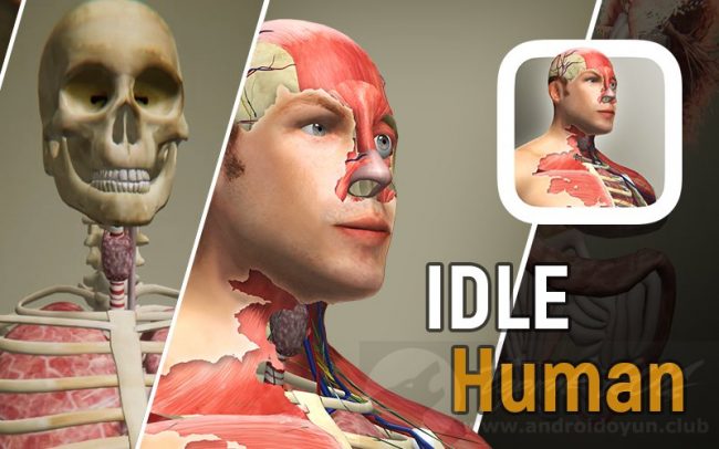Download Idle Human v1.5 MOD APK – ELMAS MODIFICADO