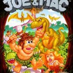 Download Joe & Mac (NES)