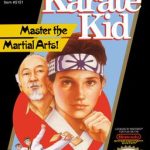Download Karate Kid (NES)