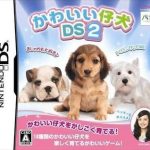kawaii-koinu-ds-2