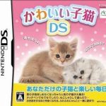 Download Kawaii Koneko DS