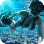 lost-in-blue-v1-232-0-apk-speed