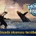 monster-fishing-2022-v0-2-9-mod-apk-elmas-modificado