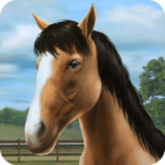 Download My Horse (MOD, Free Shopping) 1.38.14