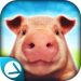 Download Pig Simulator (MOD, much money) 1.01