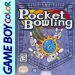 pocket-bowling