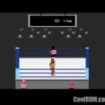 pro-wrestling