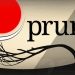 prune-v1-1-4-full-apk-versao-completa