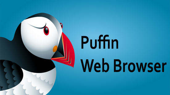 Download Puffin Browser Pro v9.7.2.51367 Apk [Versão Completa]