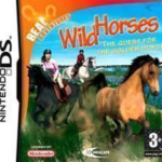 real-adventures-wild-horses-eu-ddumpers