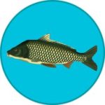 Download Real Fishing (Full/MOD, much money) 1.7.3.209