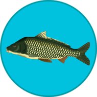 Download Real Fishing (Full/MOD, much money) 1.7.3.209