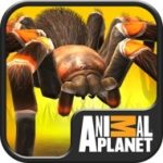 Download Real Scary Spiders (MOD, unlimited coins) 1.3.3