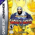 Download Super Ghouls 'N Ghosts