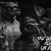 the-longest-road-on-earth-v1-0-4-full-apk-versao-completa