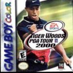 tiger-woods-pga-tour-2000