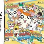 tottoko-hamutaro-haai-hamu-chans-no-hamu-hamu-challenge-atsumare-haai