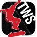 Download Transworld Endless Skater (MOD, Money/Ad-Free) 1.21