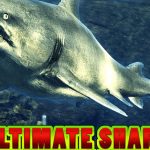 Download Ultimate Shark Simulator v1.1 Apk Full