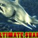 Download Ultimate Shark Simulator v1.1 Apk Full